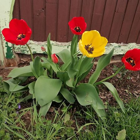 Domacija Malnarjevi Villa Villa Slavina Kültér fotó