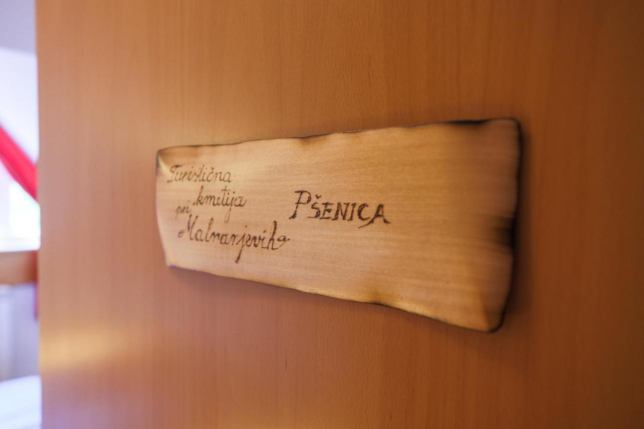 Domacija Malnarjevi Villa Villa Slavina Kültér fotó