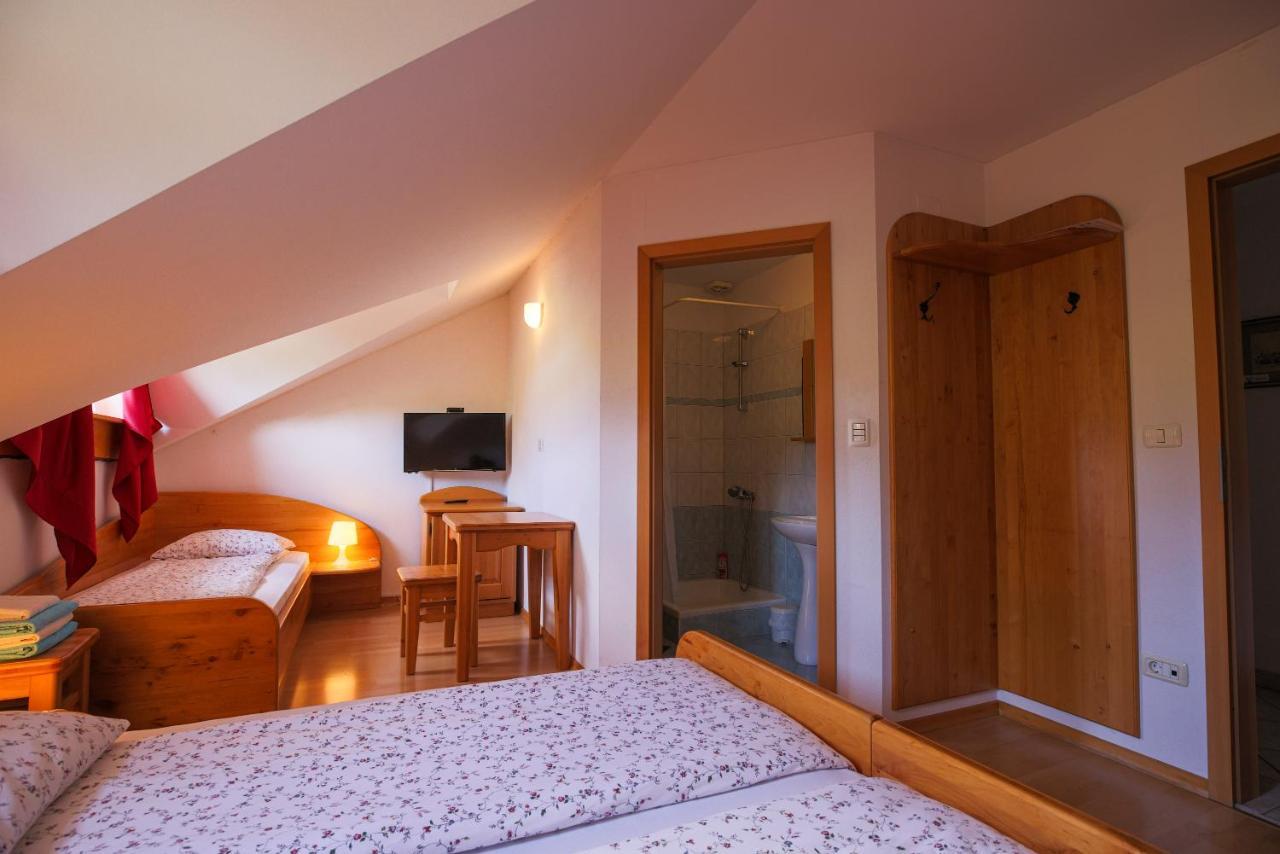 Domacija Malnarjevi Villa Villa Slavina Kültér fotó