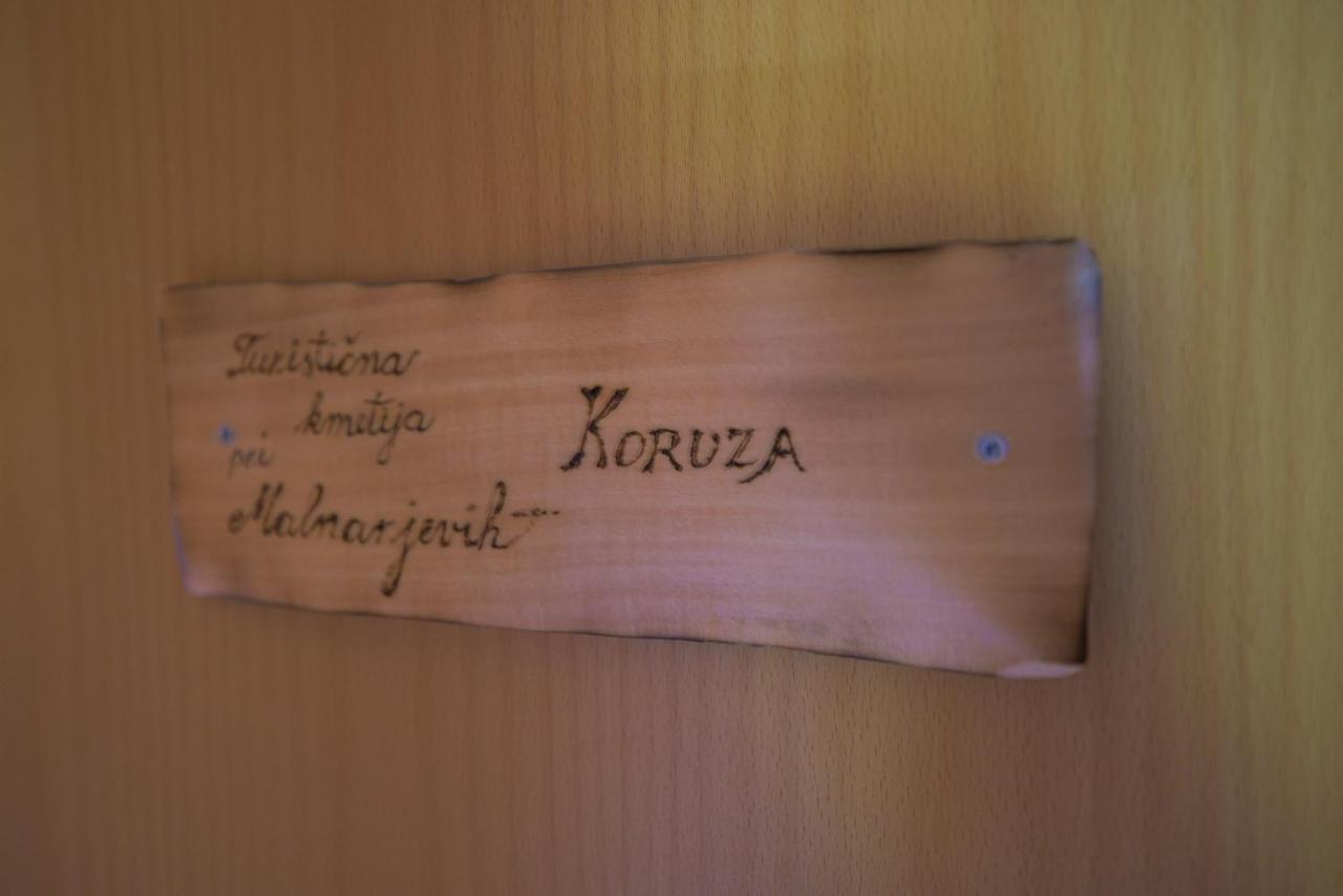 Domacija Malnarjevi Villa Villa Slavina Kültér fotó